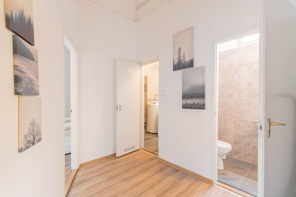 בודפשט Queen Erzsebet Apartment מראה חיצוני תמונה