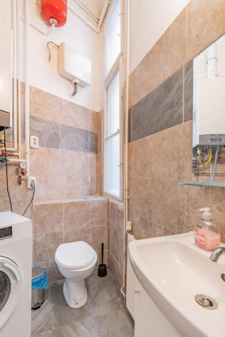 בודפשט Queen Erzsebet Apartment מראה חיצוני תמונה