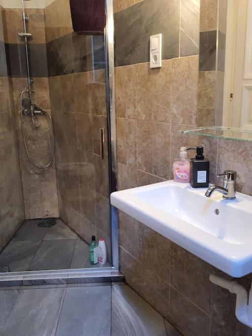 בודפשט Queen Erzsebet Apartment מראה חיצוני תמונה